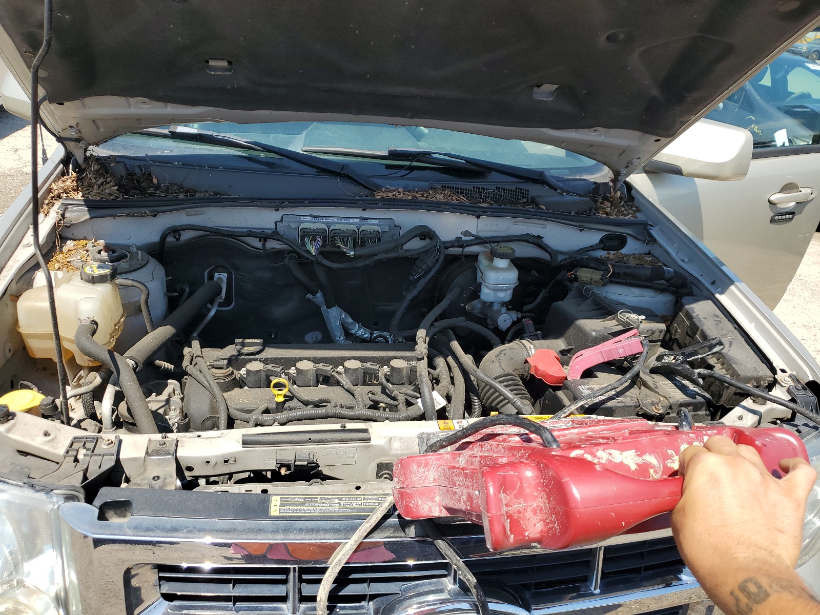 1FMCU0E75AKB09031 2010 Ford Escape Limited