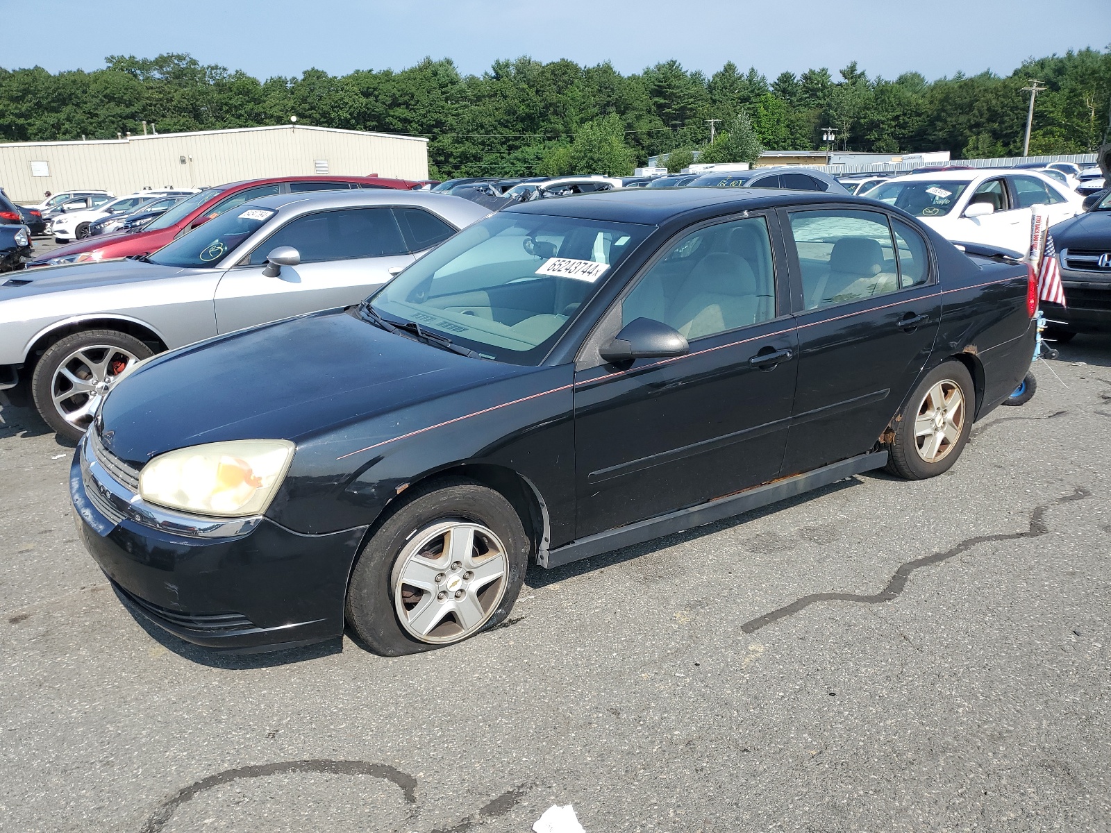 1G1ZT54855F149285 2005 Chevrolet Malibu Ls