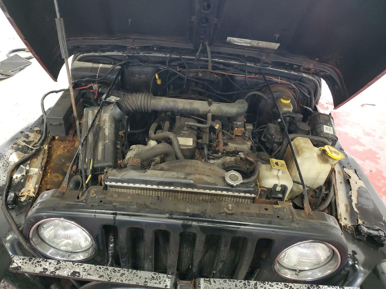 2002 Jeep Wrangler / Tj X VIN: 1J4FA39S52P766582 Lot: 66468384