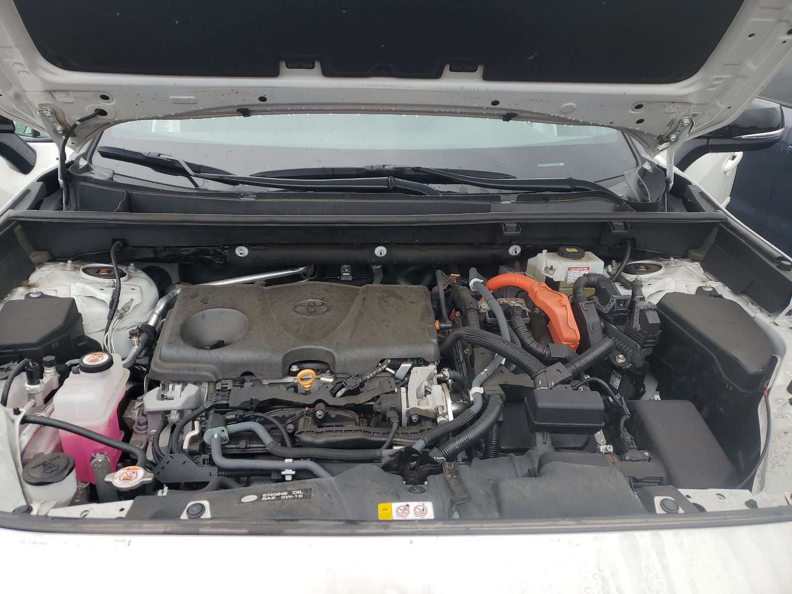 2T3E6RFV8MW019215 2021 Toyota Rav4 Xse