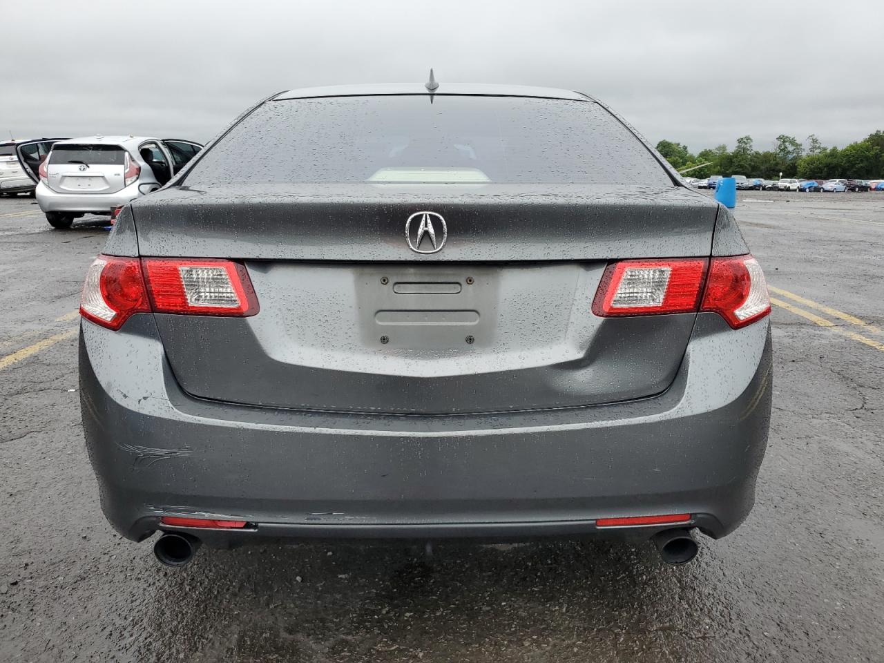 2010 Acura Tsx VIN: JH4CU2F65AC043191 Lot: 66696674