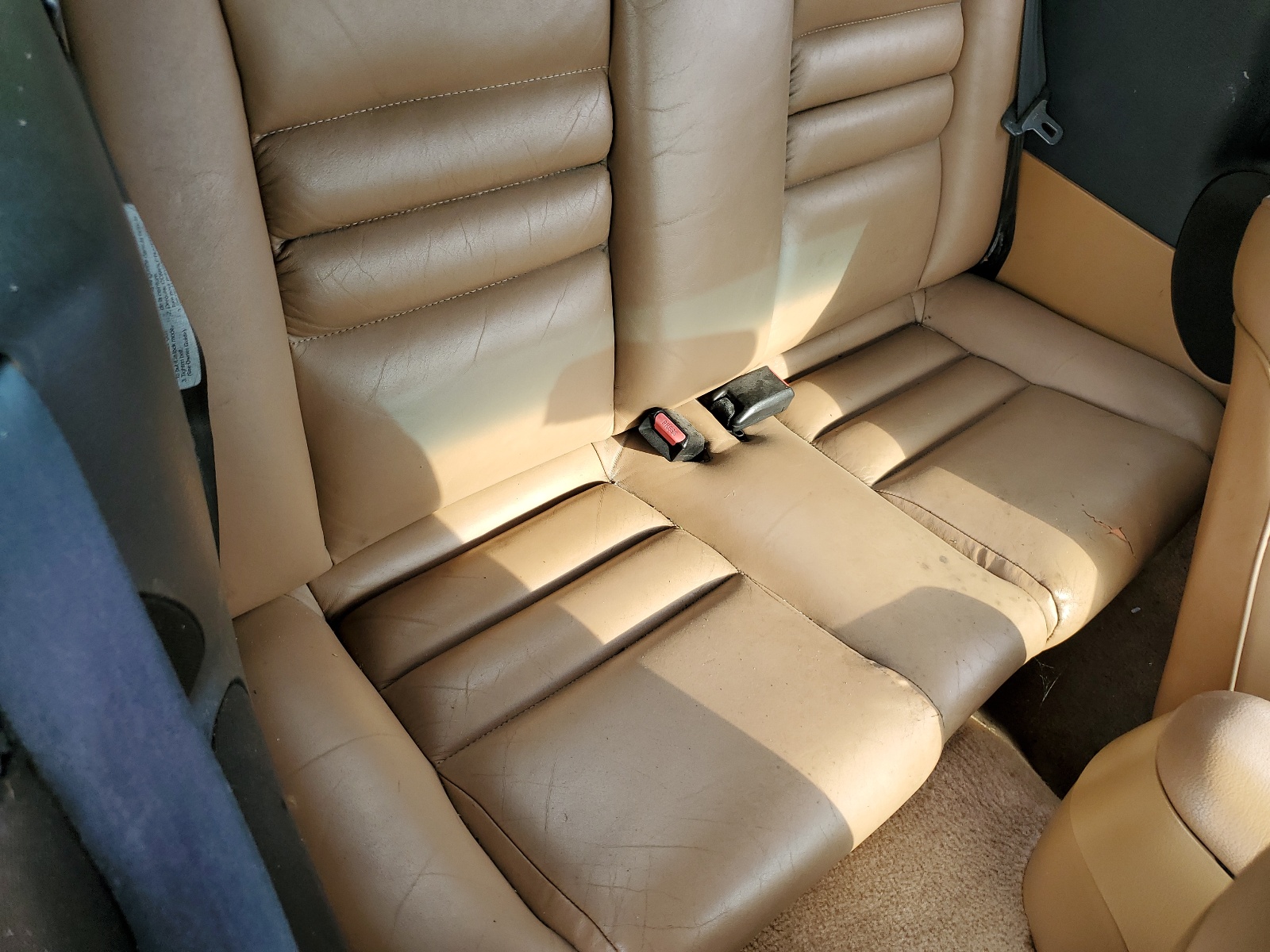 1FALP45T0SF231537 1995 Ford Mustang Gt