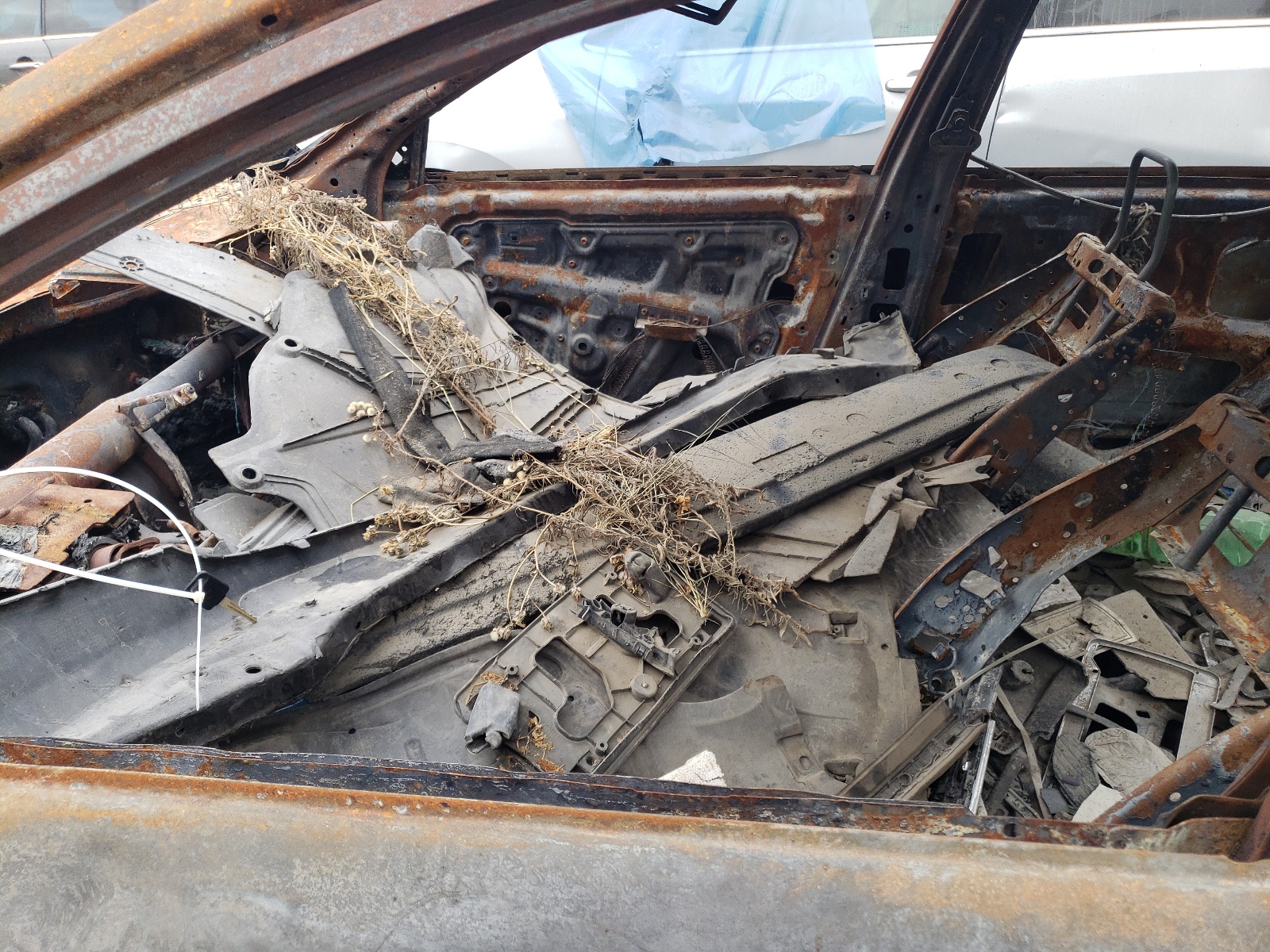 1N4AL11D74C102697 2004 Nissan Altima Base