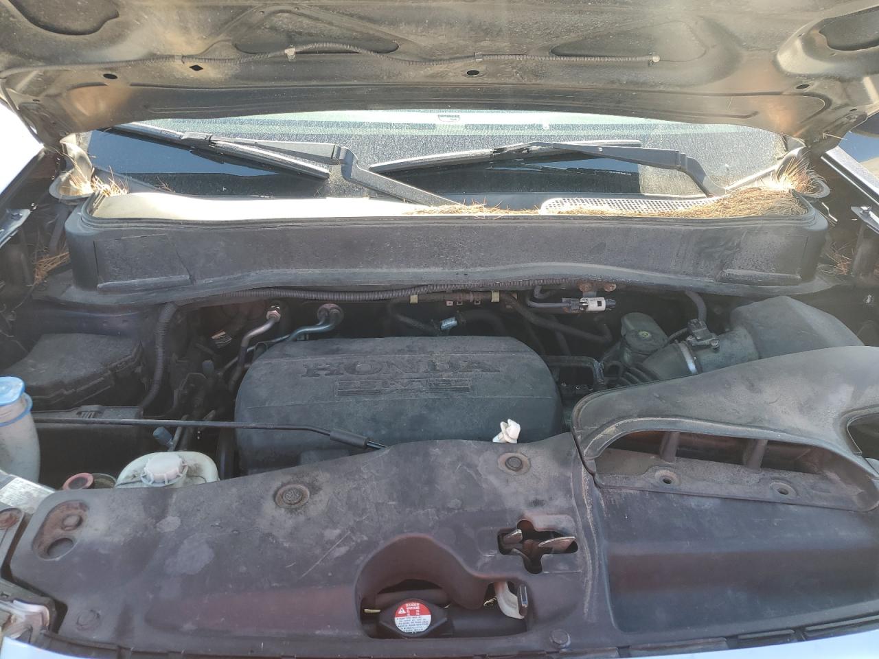 2011 Honda Pilot Exln VIN: 5FNYF4H79BB030340 Lot: 68381654