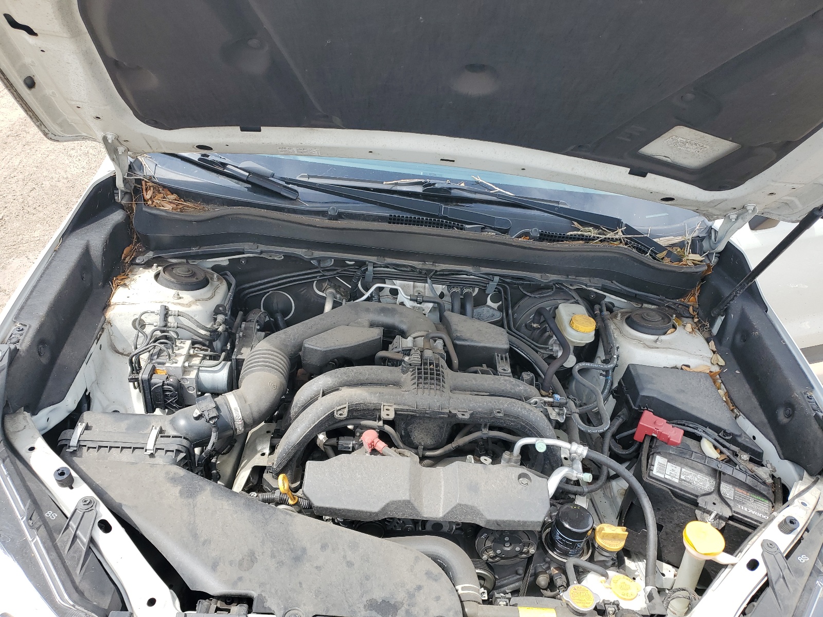 JF2SJARC6HH595783 2017 Subaru Forester 2.5I Limited