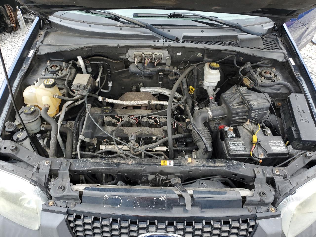 2007 Ford Escape Xls VIN: 1FMYU02Z47KB79611 Lot: 66083504