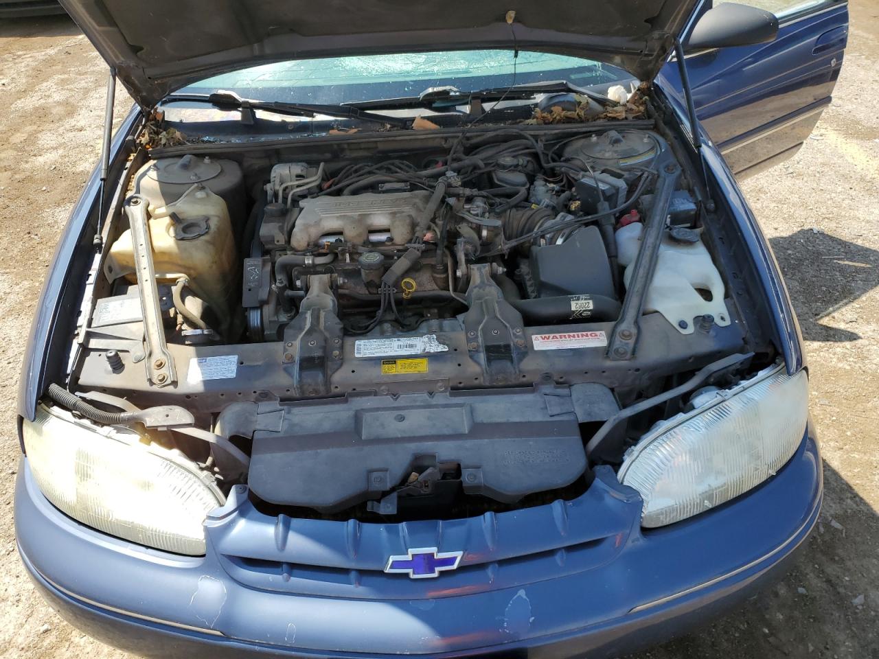 1997 Chevrolet Lumina Base VIN: 2G1WL52M6V9153339 Lot: 67913684