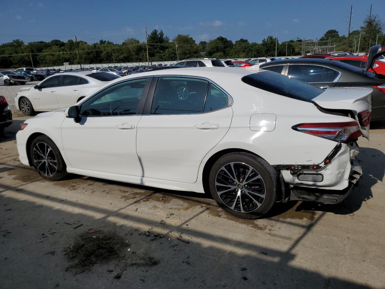 4T1G11AK3LU924118 2020 TOYOTA CAMRY - Image 2