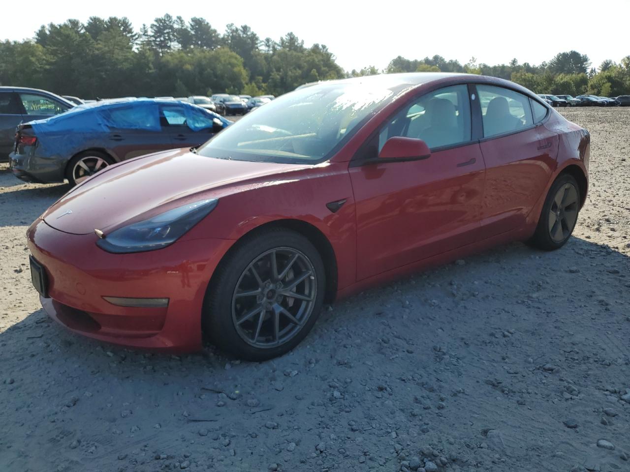 5YJ3E1EB4MF975705 2021 TESLA MODEL 3 - Image 1