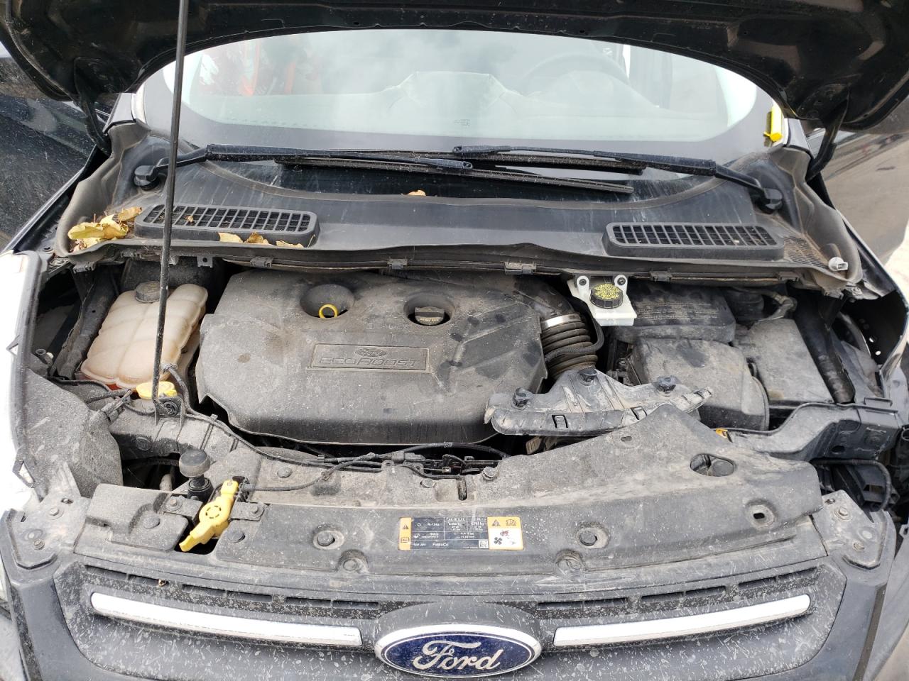 1FMCU9G99EUE48159 2014 Ford Escape Se