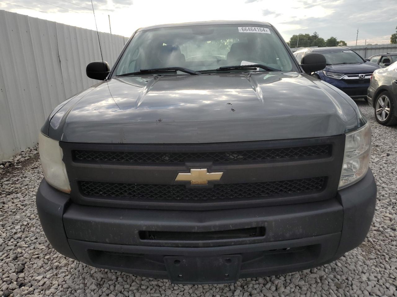 2011 Chevrolet Silverado C1500 VIN: 1GCRCPEX9BZ244435 Lot: 66464164