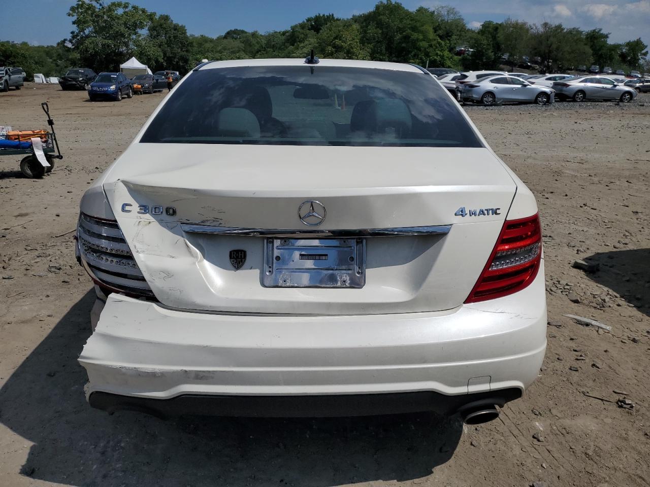 2012 Mercedes-Benz C 300 4Matic VIN: WDDGF8BB5CR226552 Lot: 66231094