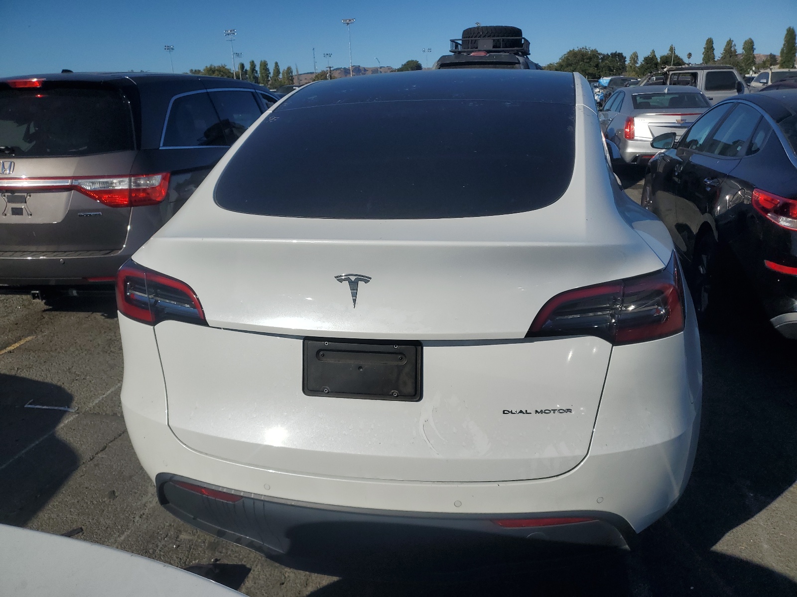 5YJYGDEE1MF198279 2021 Tesla Model Y