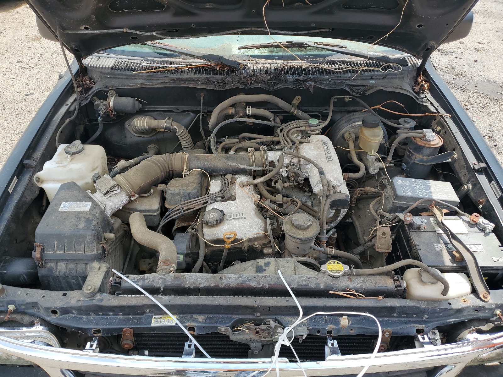 4TAUN53B6SZ001743 1995 Toyota Tacoma Xtracab