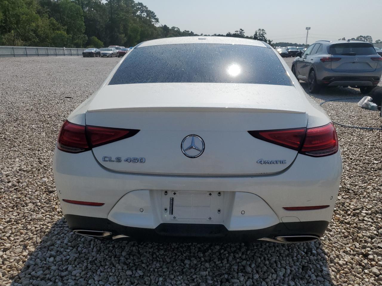 2019 Mercedes-Benz Cls 450 4Matic VIN: WDD2J5KB7KA042539 Lot: 66721134