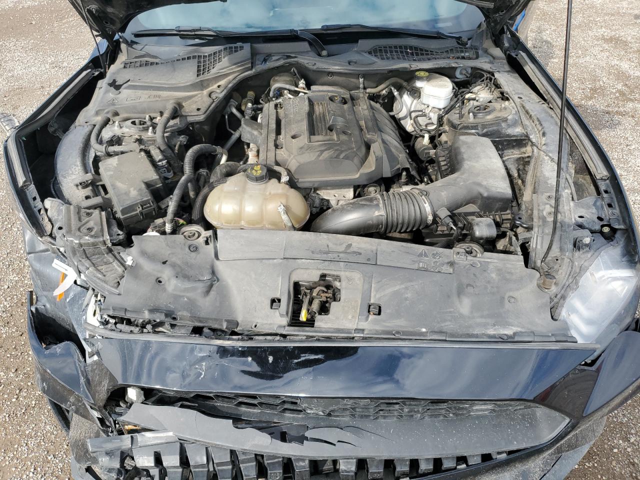 2018 Ford Mustang VIN: 1FA6P8TH0J5160802 Lot: 64844784