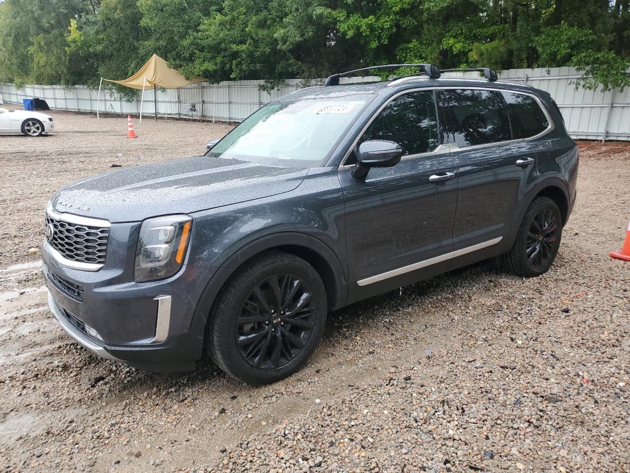 2020 Kia Telluride Sx VIN: 5XYP5DHC0LG031401 Lot: 65887724