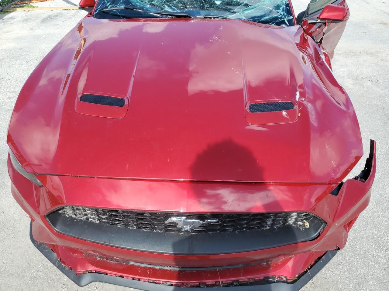 2021 Ford Mustang VIN: 1FA6P8TH8M5154167 Lot: 65721264