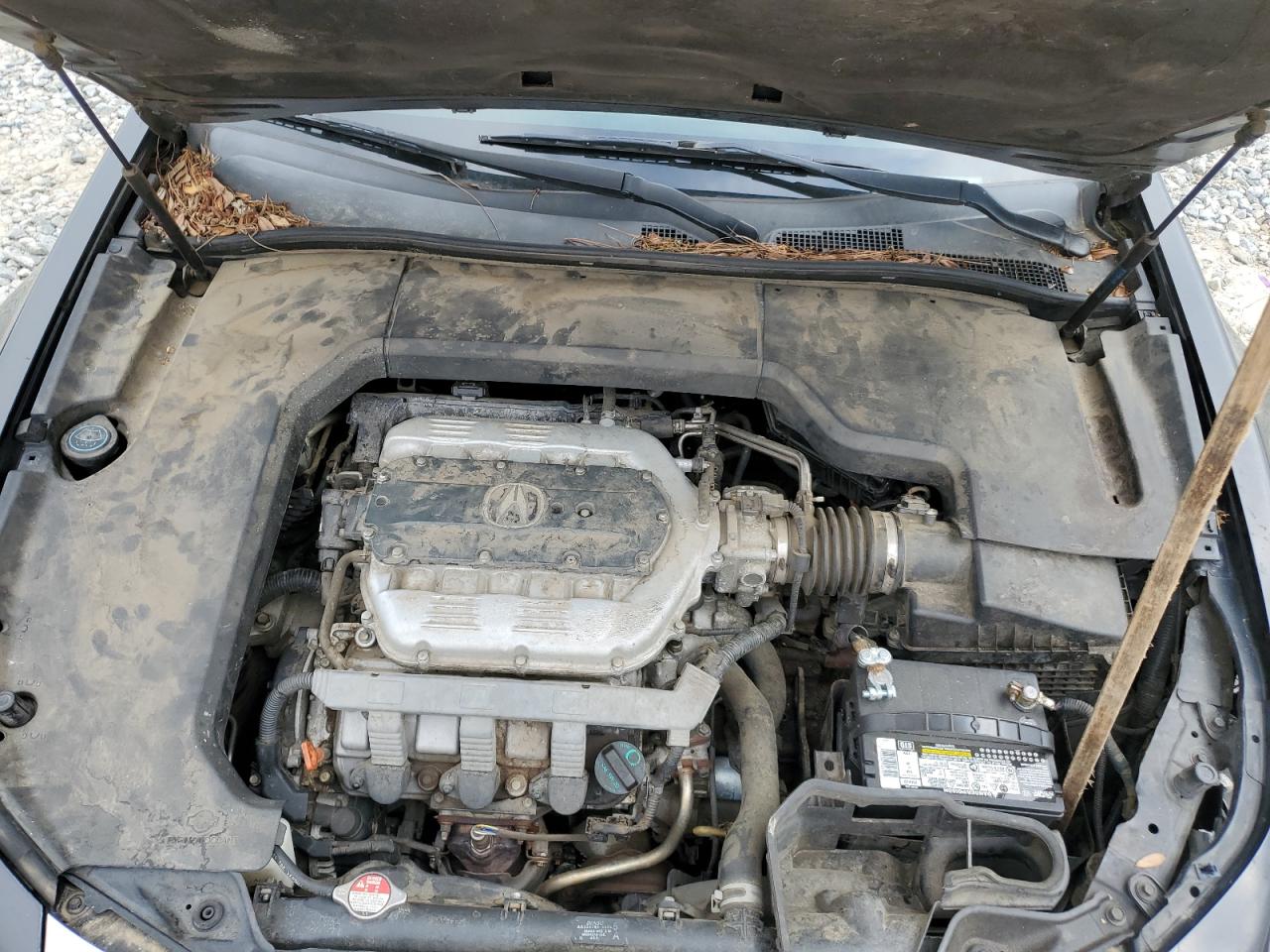 2010 Acura Tl VIN: 19UUA8F22AA016221 Lot: 67499194