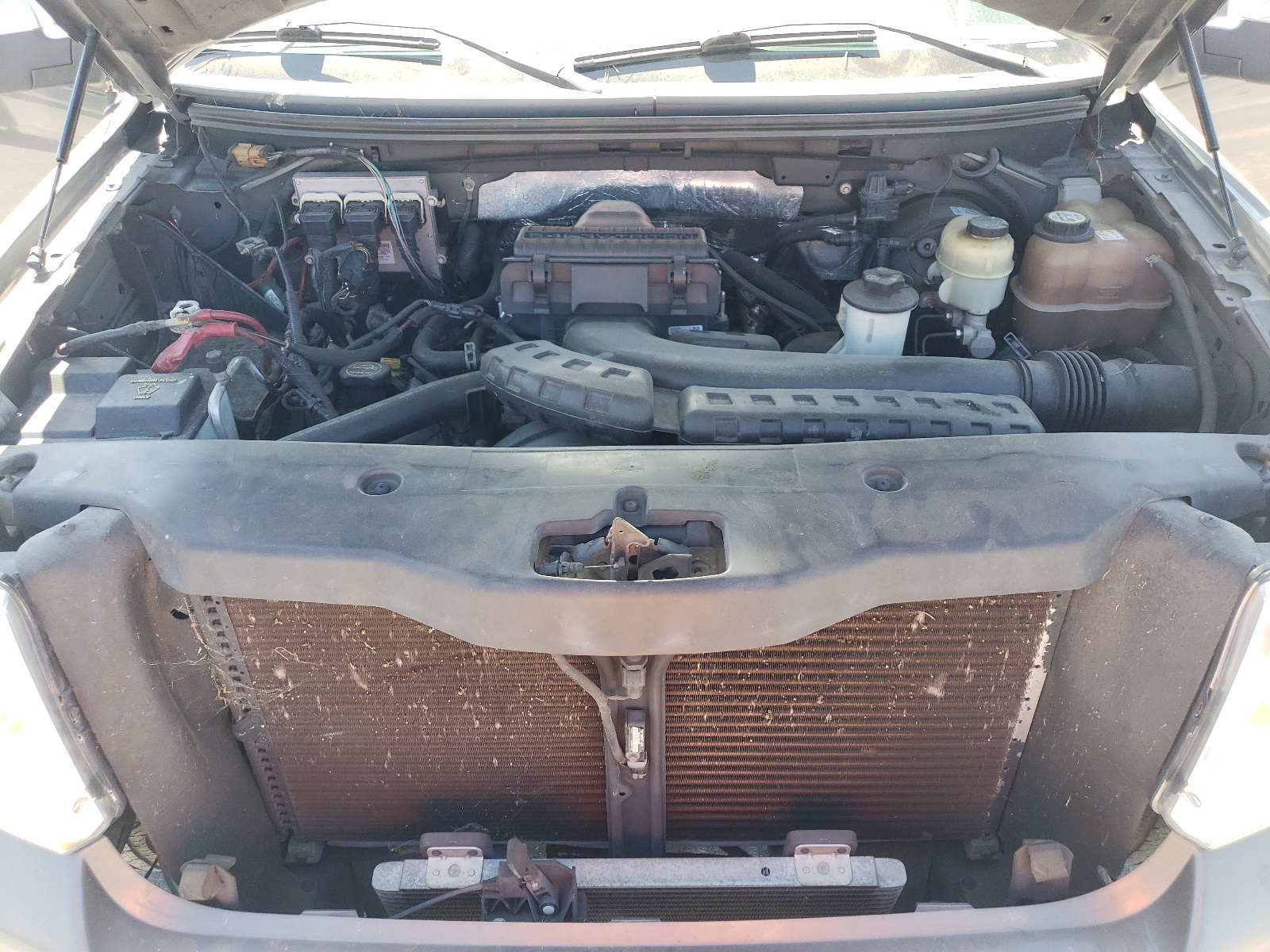 5ltpw165x6fj16668 5LTPW165X6FJ16668 2006 Lincoln Mark Lt