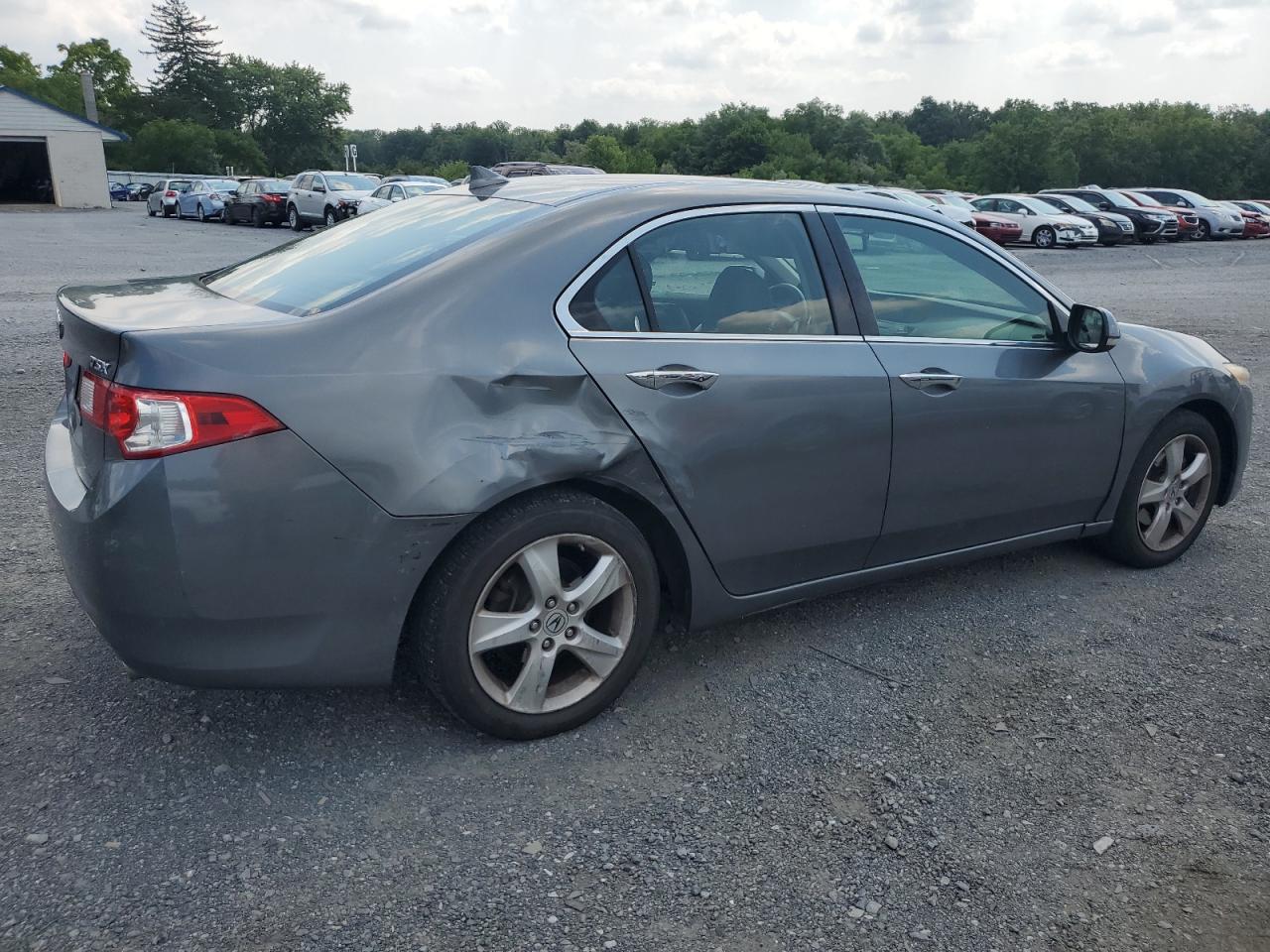 2009 Acura Tsx VIN: JH4CU26629C033343 Lot: 66317714