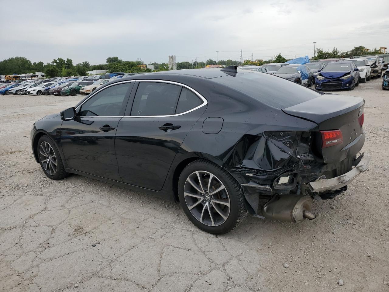 19UUB3F52FA005477 2015 Acura Tlx Tech