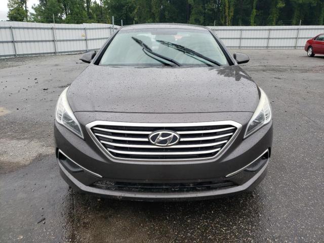  HYUNDAI SONATA 2016 Цвет загара