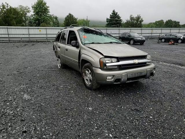 2003 Chevrolet Trailblazer VIN: 1GNDT13S732218481 Lot: 65997774