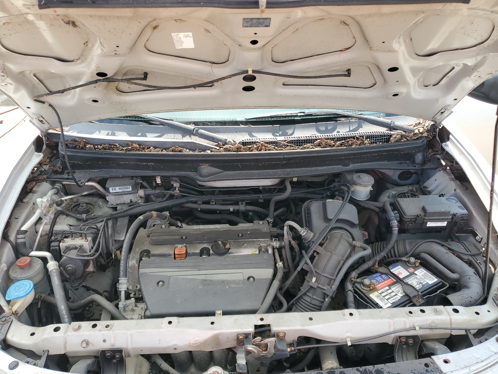 5J6YH18776L014997 2006 Honda Element Ex