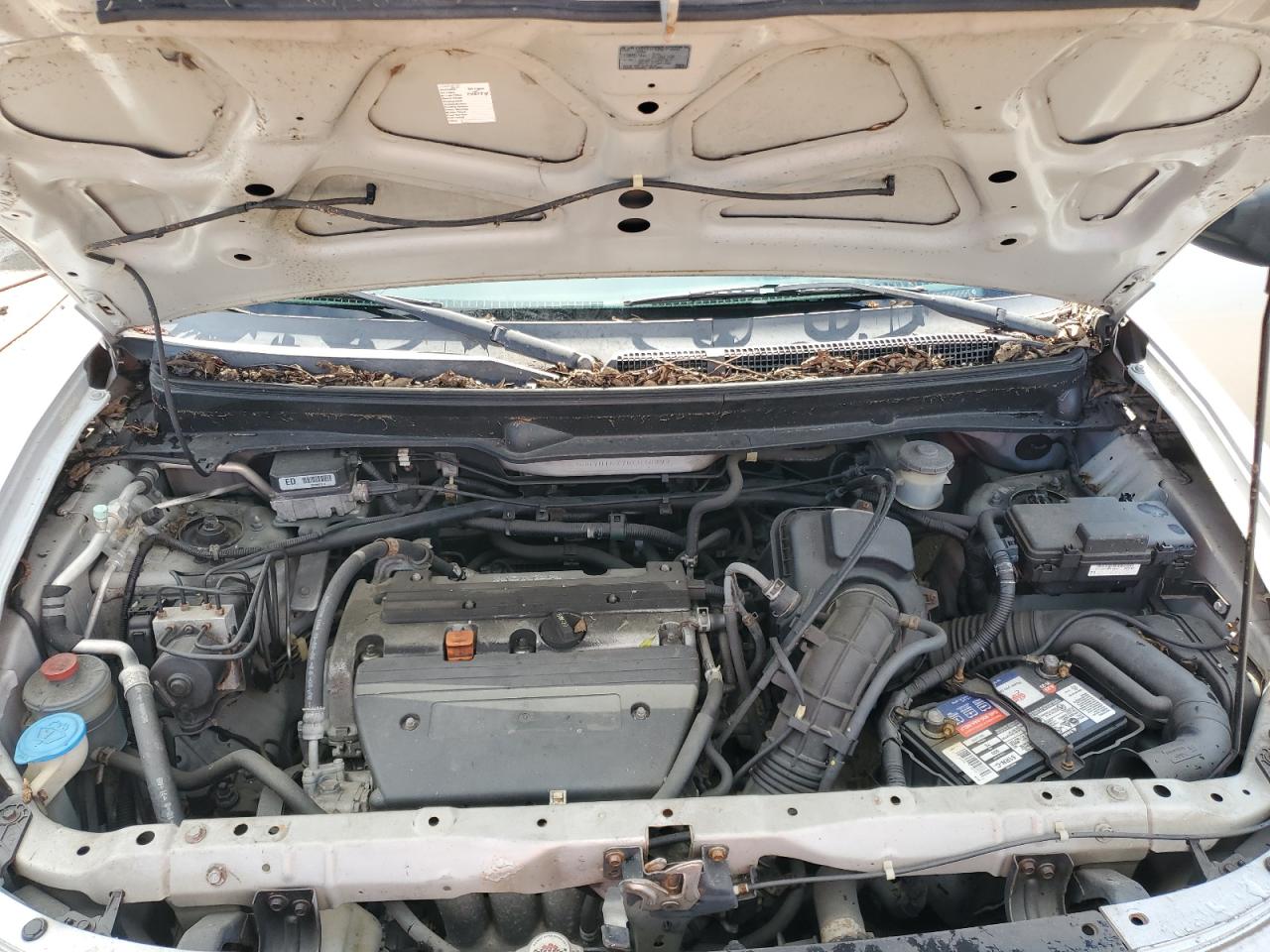 2006 Honda Element Ex VIN: 5J6YH18776L014997 Lot: 66536644