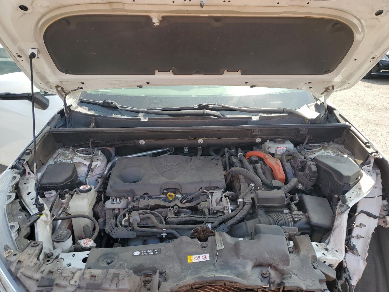 JTMRWRFV0LD543486 2020 Toyota Rav4 Xle