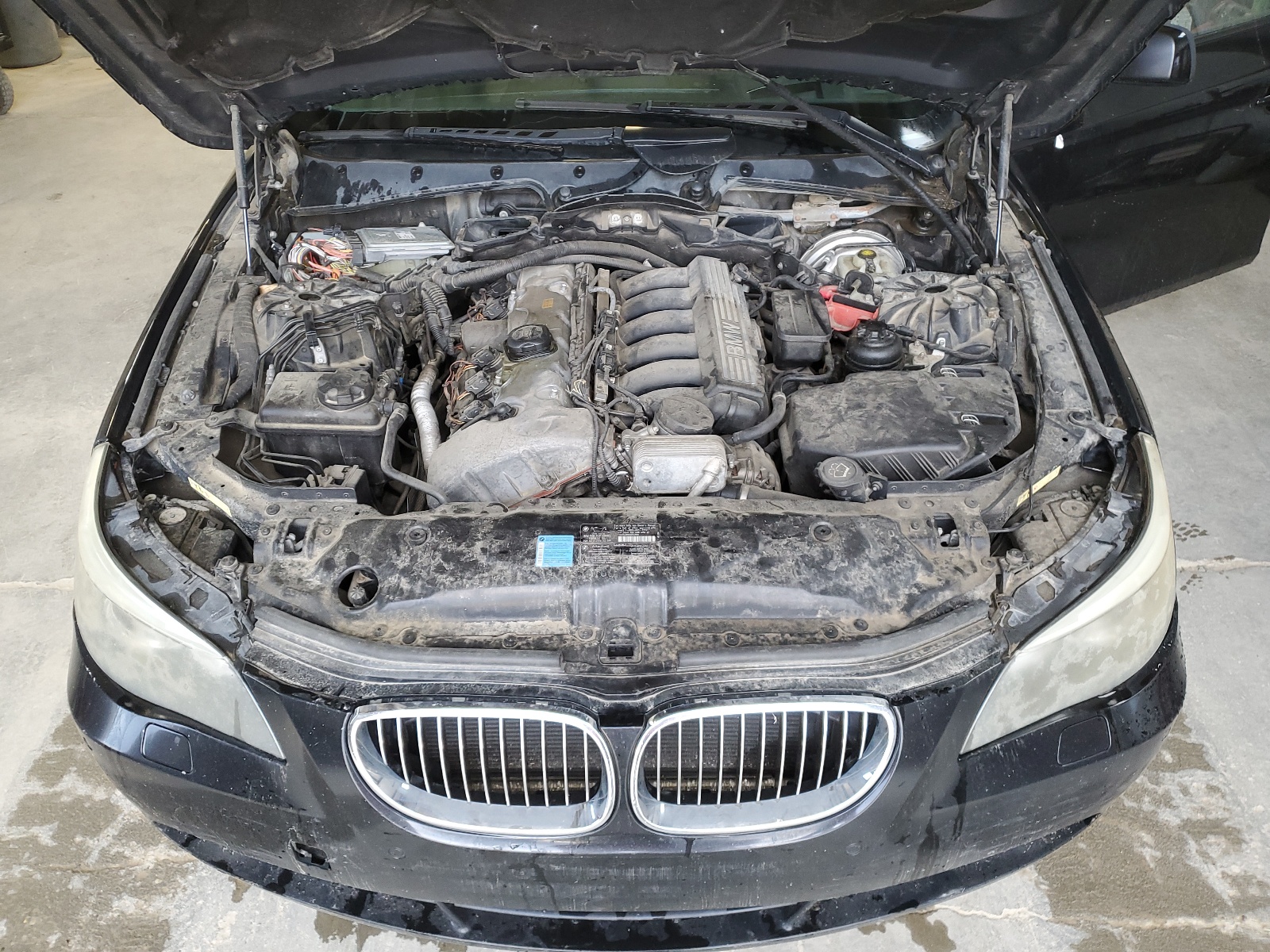 WBANF73557CU27748 2007 BMW 530 Xi