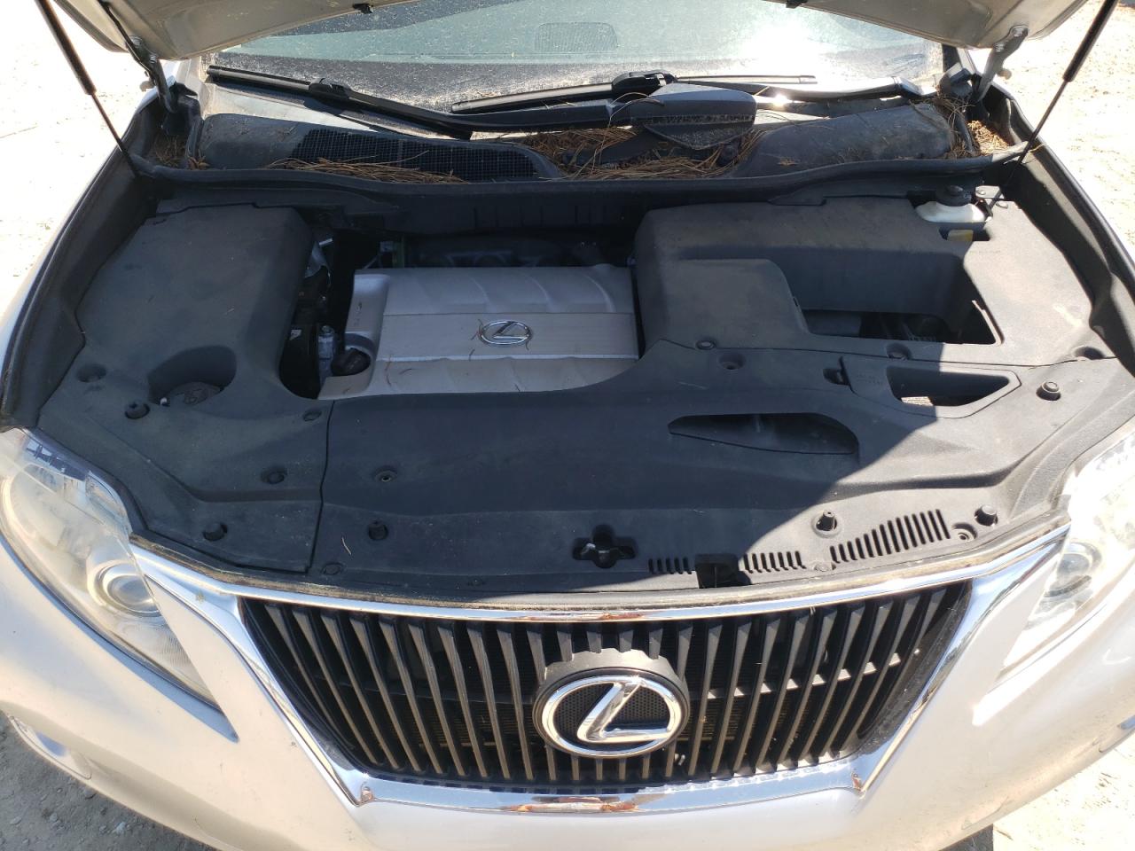 2012 Lexus Rx 350 VIN: 2T2BK1BA8CC131536 Lot: 66913864