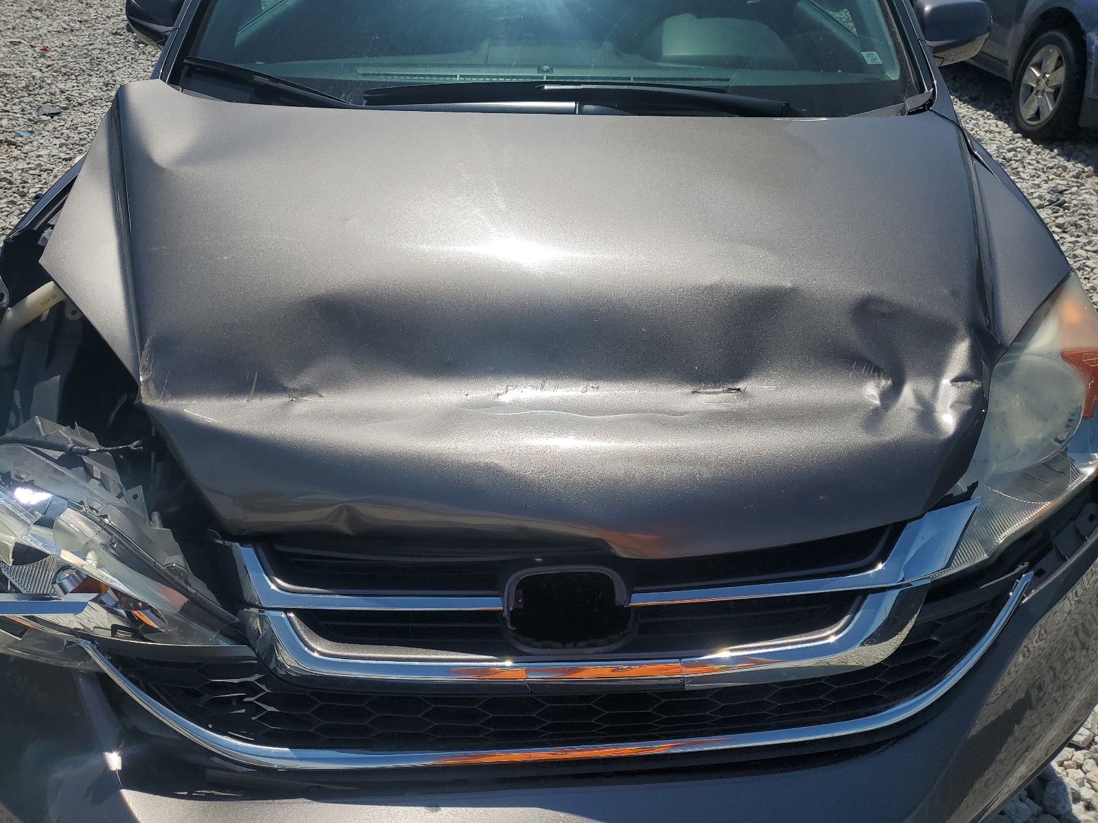 5J6RE4H76AL037579 2010 Honda Cr-V Exl