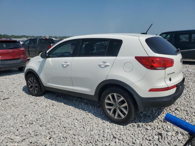  KIA SPORTAGE 2015 Білий