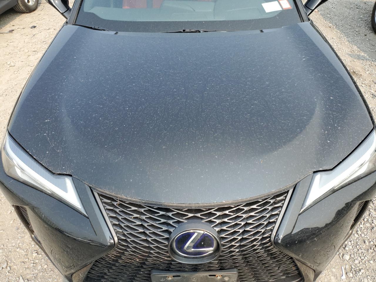 2019 Lexus Ux 250H VIN: JTHU9JBH1K2017251 Lot: 67772734