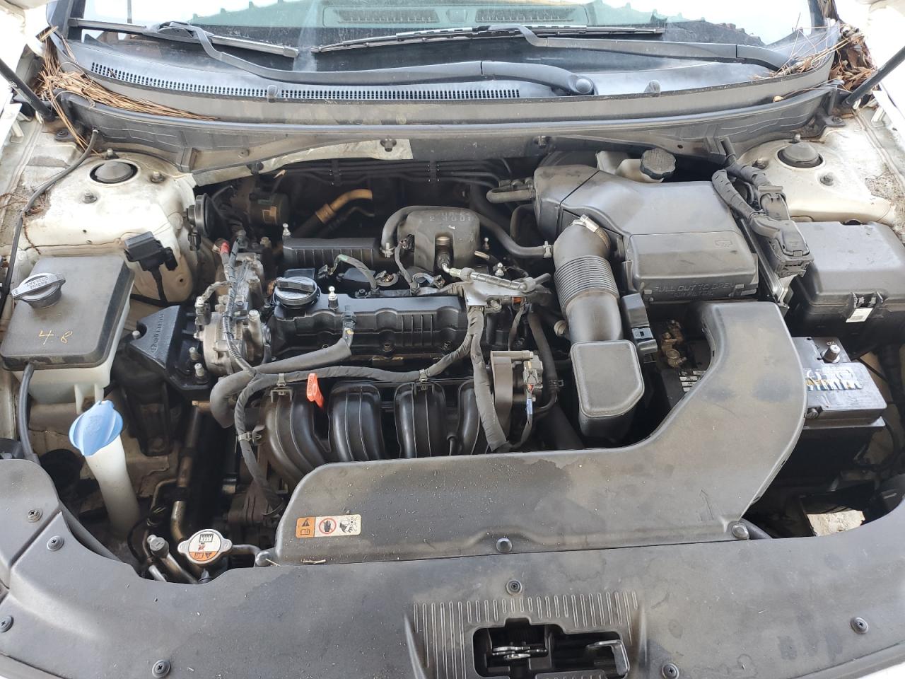 5NPE24AF5GH357200 2016 Hyundai Sonata Se