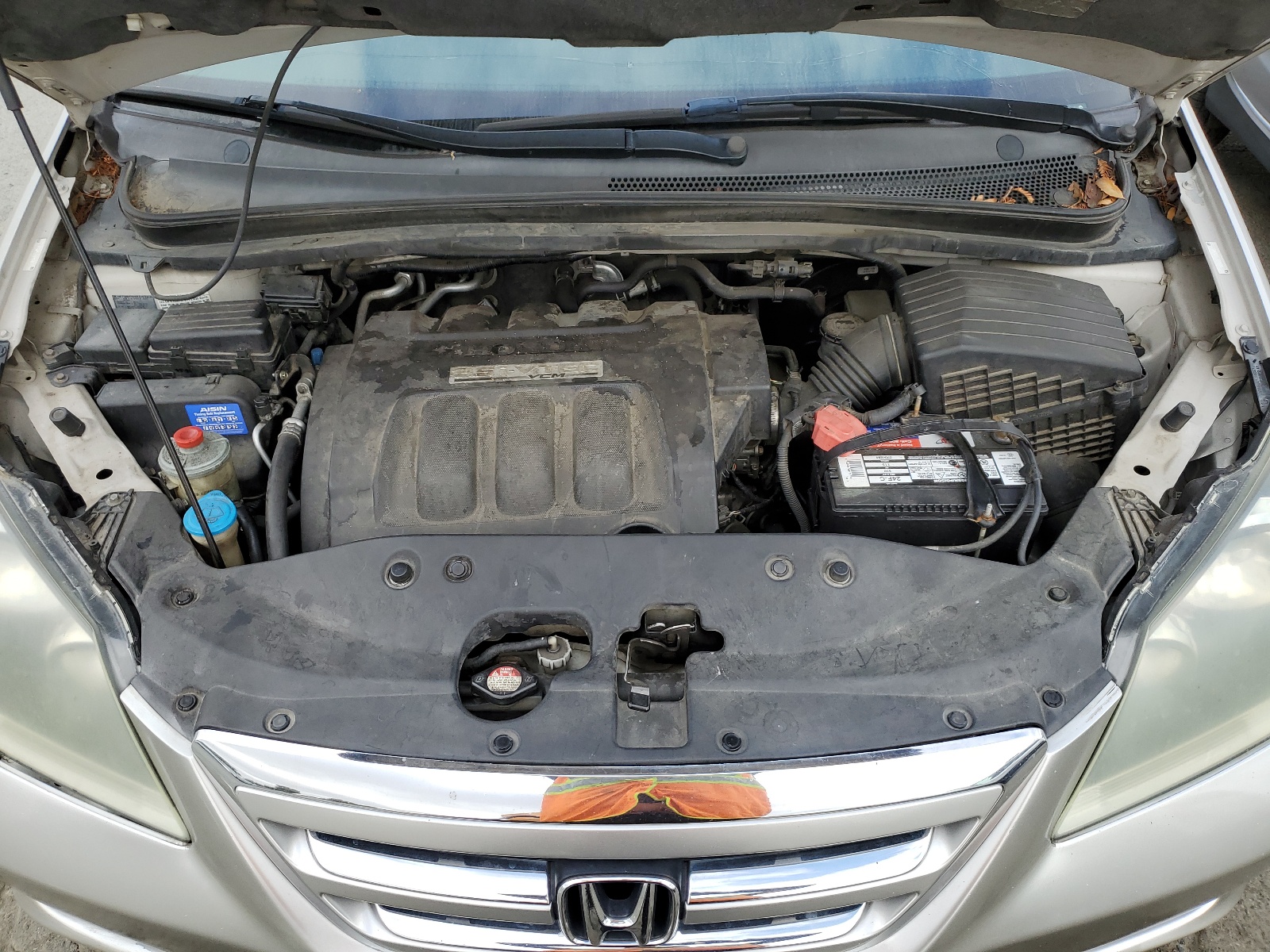 5FNRL38605B051502 2005 Honda Odyssey Exl