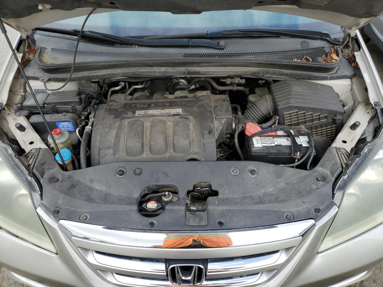 2005 Honda Odyssey Exl VIN: 5FNRL38605B051502 Lot: 68576724