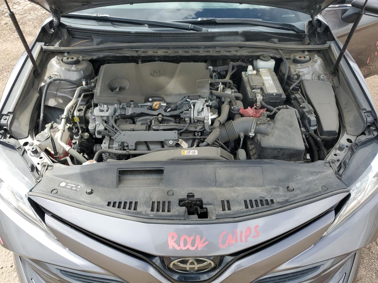 4T1B11HK8KU770424 2019 Toyota Camry L