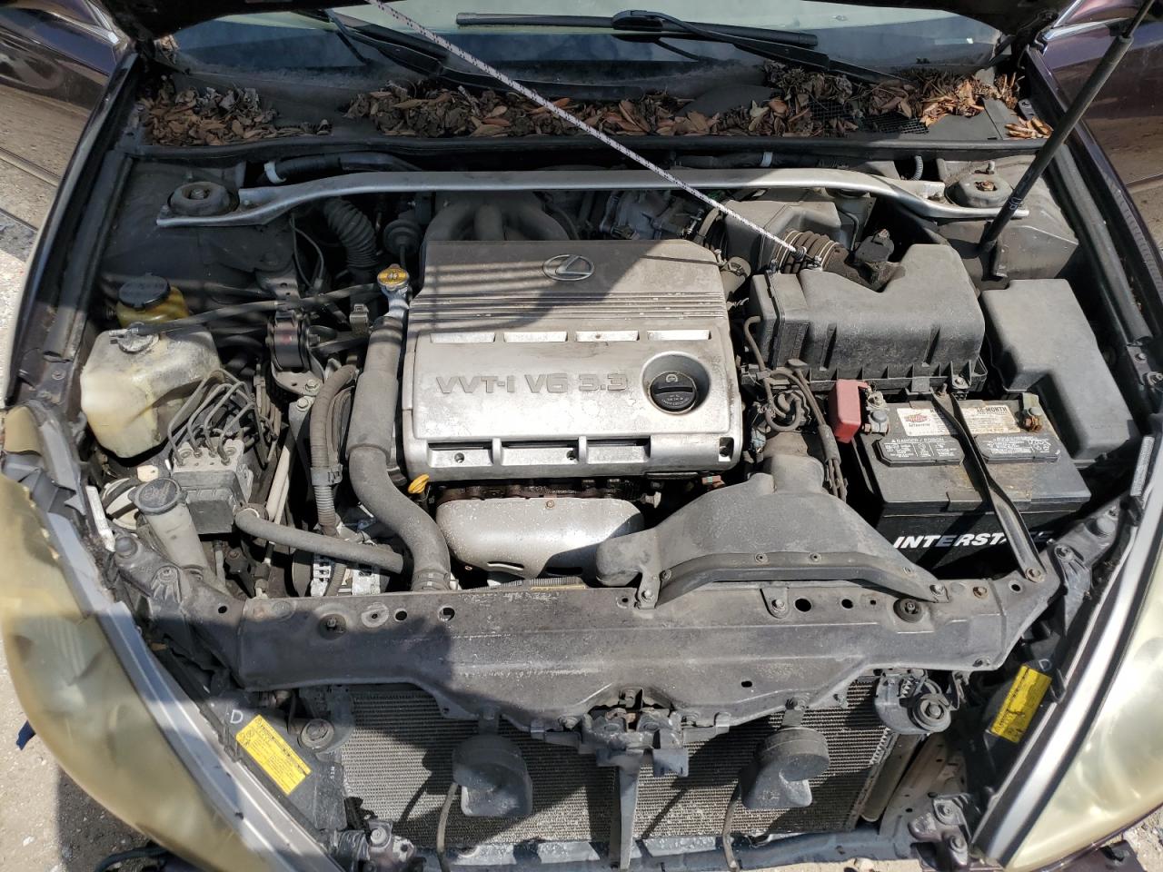 2005 Lexus Es 330 VIN: JTHBA30G655100732 Lot: 68185714