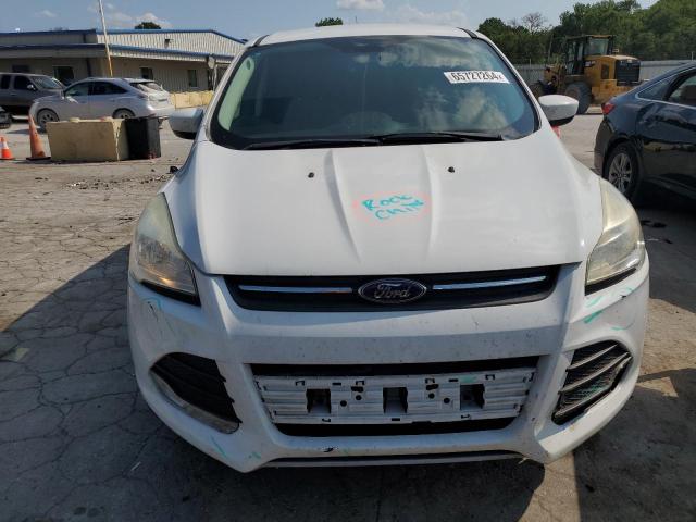  FORD ESCAPE 2016 White