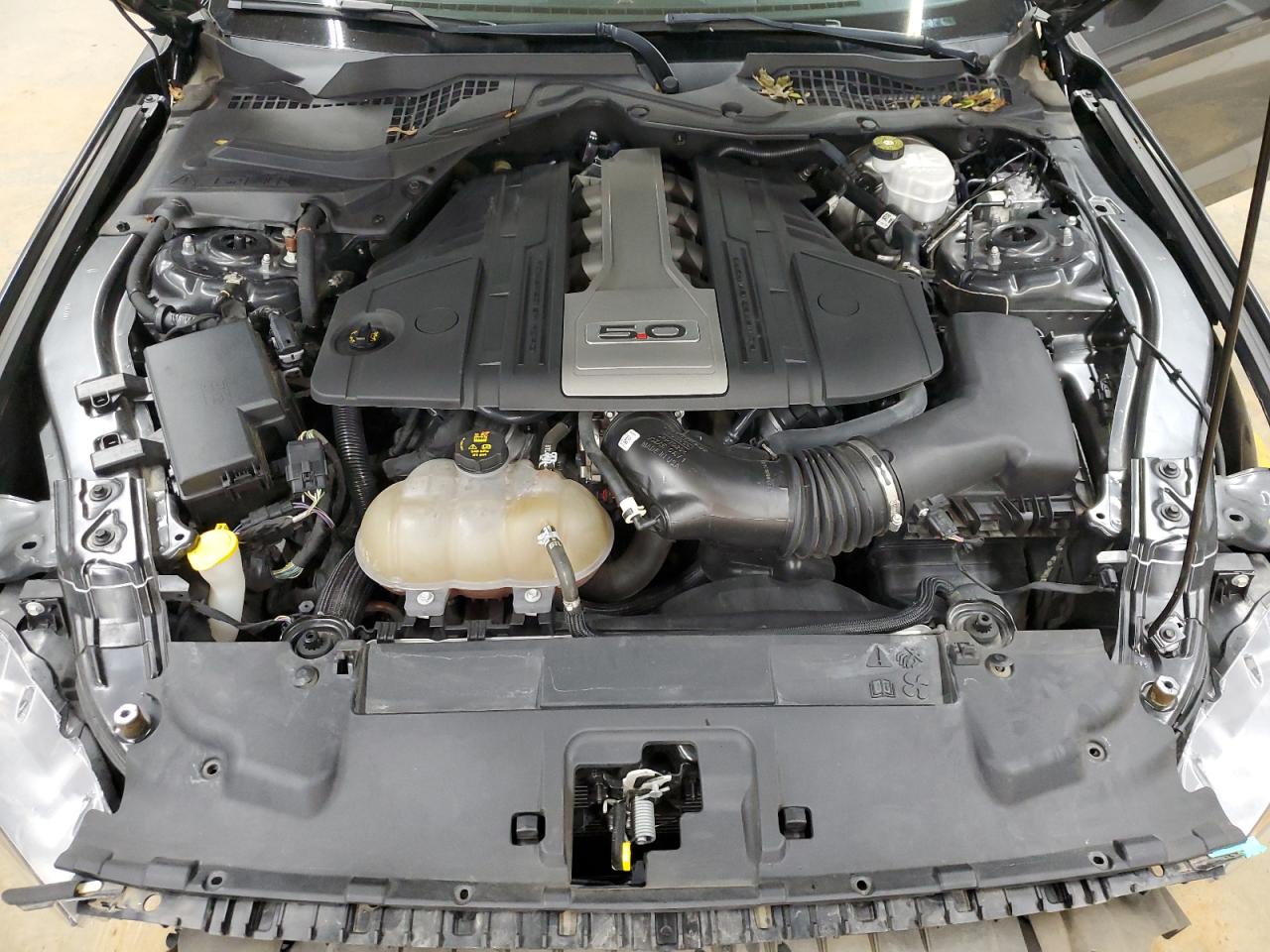 2019 Ford Mustang Gt VIN: 1FA6P8CF9K5188520 Lot: 68433764