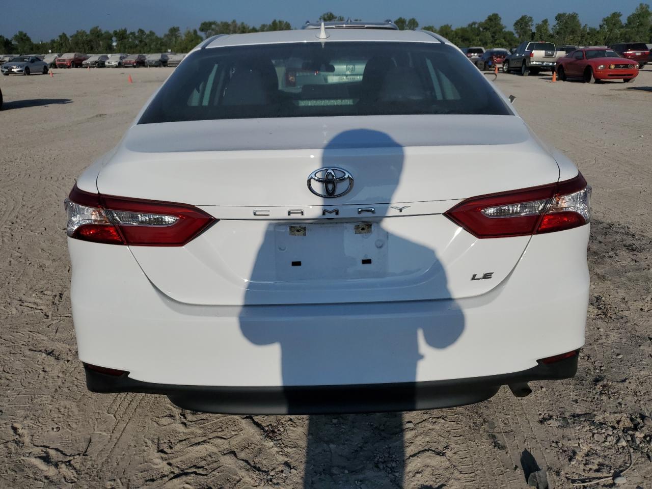 2020 Toyota Camry Le VIN: 4T1C11AK6LU504982 Lot: 67516734