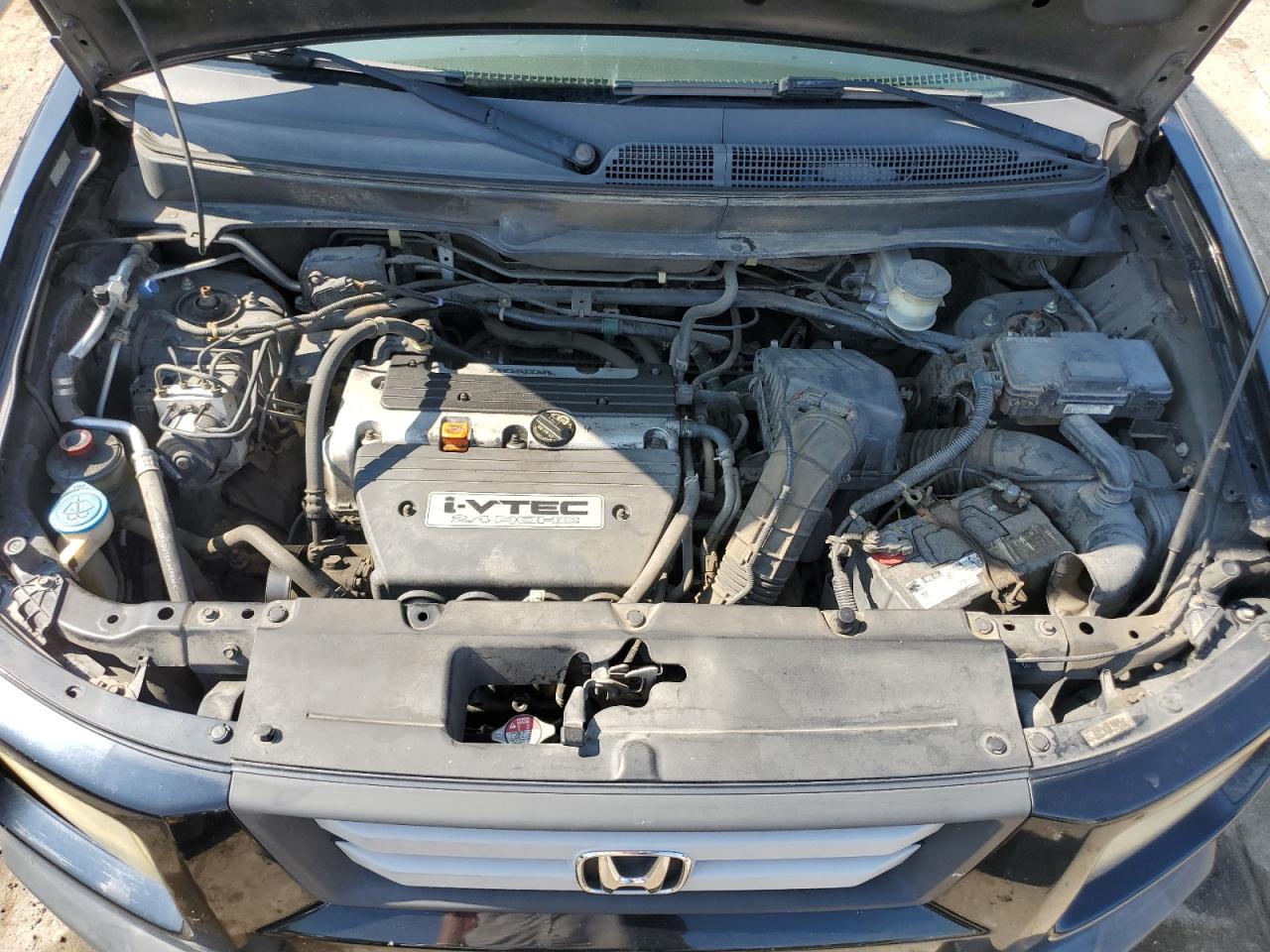 2007 Honda Element Ex VIN: 5J6YH18757L008844 Lot: 66987544