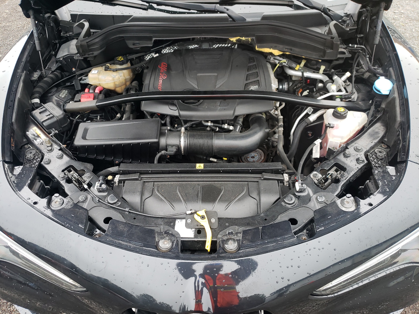 ZASPAKBN8K7C44206 2019 Alfa Romeo Stelvio Ti