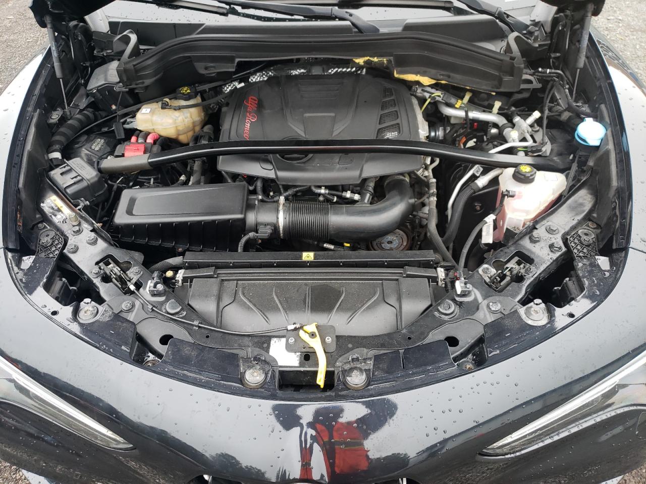 2019 Alfa Romeo Stelvio Ti VIN: ZASPAKBN8K7C44206 Lot: 68037854