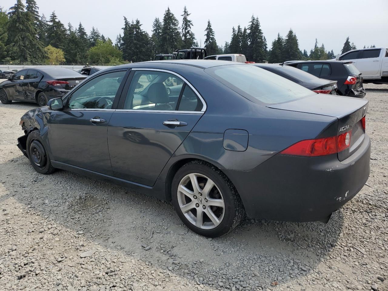 2004 Acura Tsx VIN: JH4CL96984C036567 Lot: 66866894