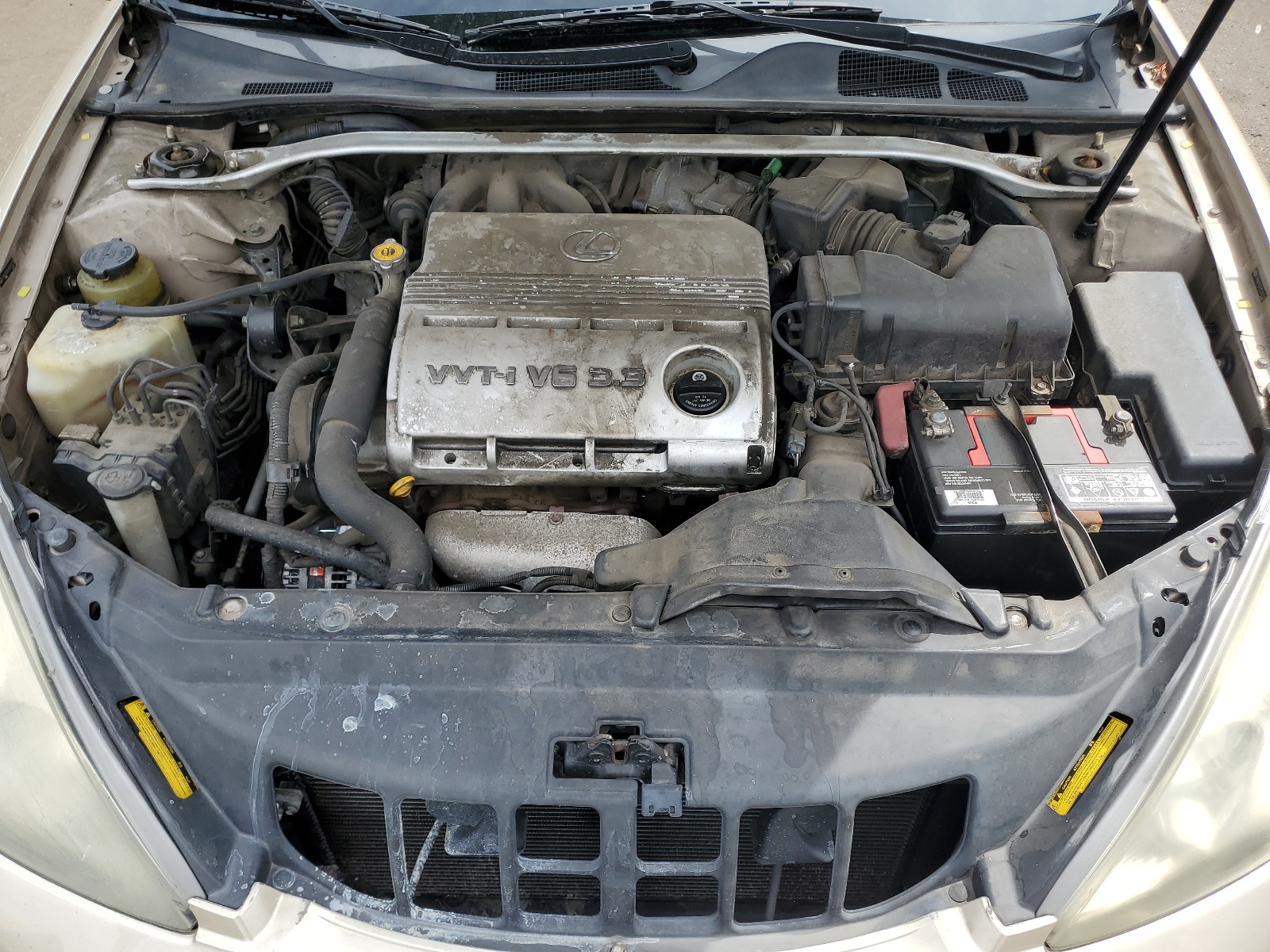 JTHBA30G645033130 2004 Lexus Es 330