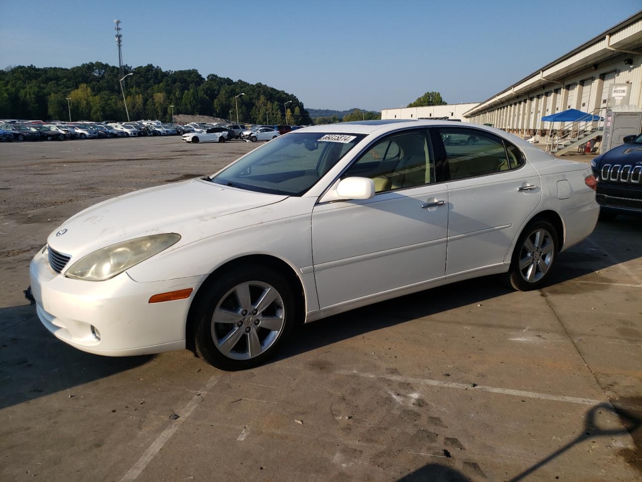 2005 Lexus Es 330 VIN: JTHBA30G155118281 Lot: 69315814